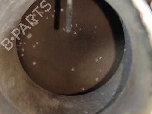 Catalyst FIAT TALENTO Van (296_) 1.6 D | BP33389003M10 - Image 12