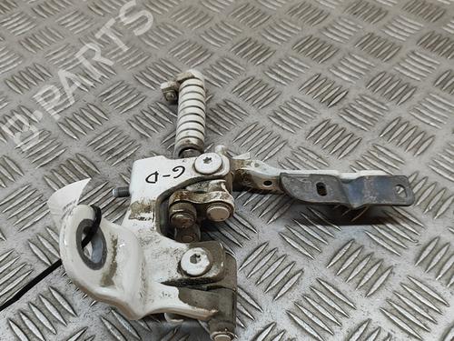 Hinge/Door check strap BMW 3 Touring (F31) 318 d xDrive | BP29076231C146 