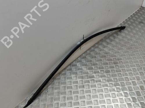 Door moulding trim BMW 7 (G11, G12) 730 d, Ld | BP19501572C150 