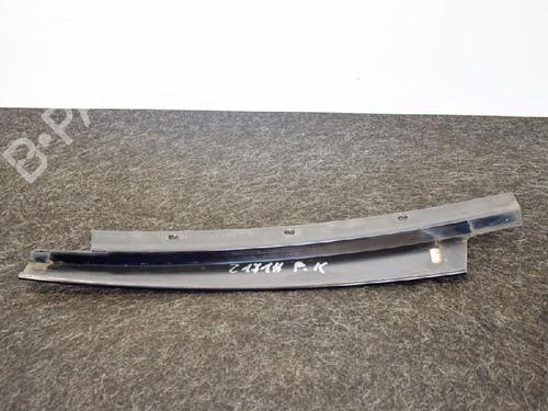 Door moulding trim BMW 5 (E60) 520 d | BP14663044C150 