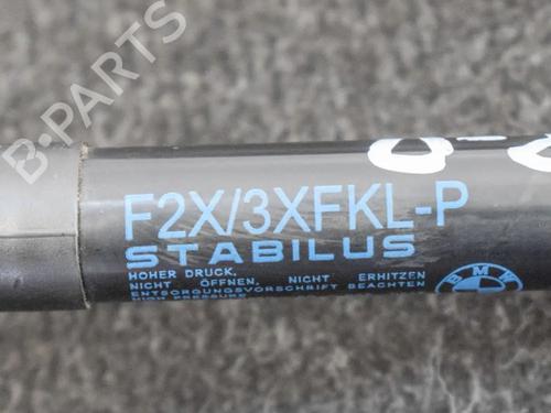 Hood lift support BMW 1 (F20) M 140 i | BP14666367C139 