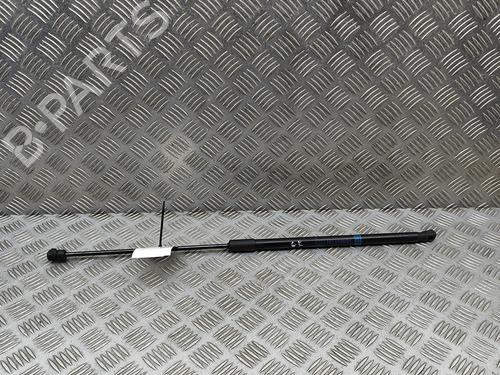 Tailgate lift support MERCEDES-BENZ GLC (X253) 300 d 4-matic (253.919) | BP29731139C138 
