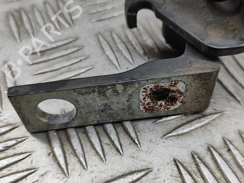 Hinge/Door check strap FORD S-MAX (WA6) 2.0 TDCi | BP24581946C146 