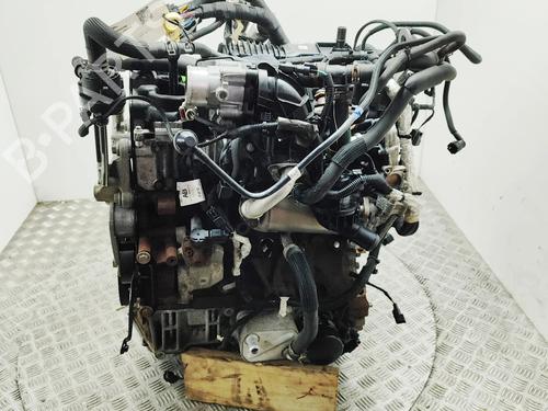 Engine FORD TRANSIT CUSTOM V362 Van (FY, FZ) 2.0 EcoBlue mHEV | BP31715276M1