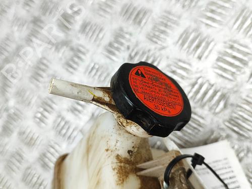 Expansion tank ISUZU D-MAX II (TFR, TFS) 1.9 Ddi 4x4 (TFS87J) | BP29975722C120