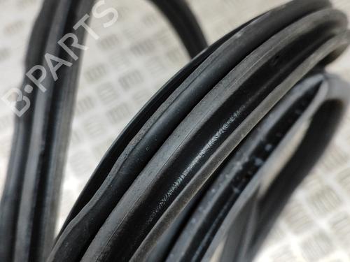 Rubber door seal BMW X3 (G01, F97, G08) xDrive 30 d Mild-Hybrid | BP27766619C142