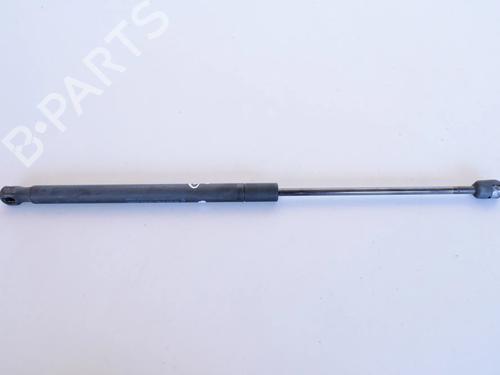 tailgate-lift-support-ford-focus-ii-da_-hcp-dp-2004-2005-2006-2007-2008-2009-2010-2011-2012-2013-29753437 main image