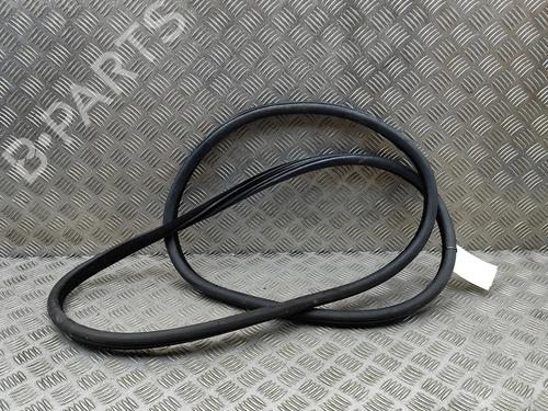 Gummiliste BMW 5 Touring (F11) M 550 d xDrive (381 hp) 30004963