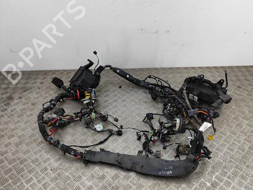 Wiring harness JAGUAR XF SPORTBRAKE (X260) 2.0 | BP20982039E16 