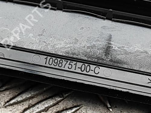 Grill TESLA MODEL Y (5YJY) Long Range All-wheel Drive | BP36232026C40 - Image 5
