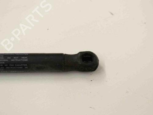 Hood lift support VOLVO S80 II (124) 2.4 D | BP30255813C139 
