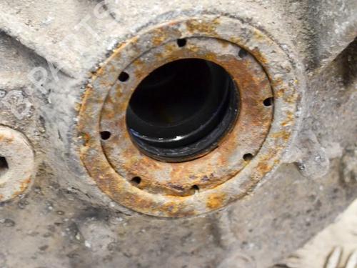  - Image 7
