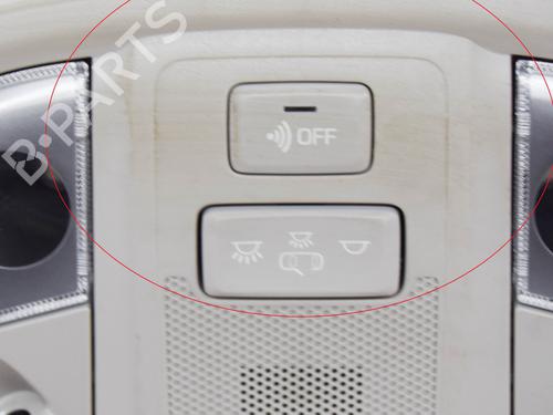 Interior roof light KIA SPORTAGE IV (QL, QLE) 1.6 GDI | BP6867113I8