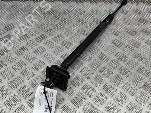 Hinge/Door check strap PORSCHE PANAMERA (970) 3.6 4 | BP15910161C146 