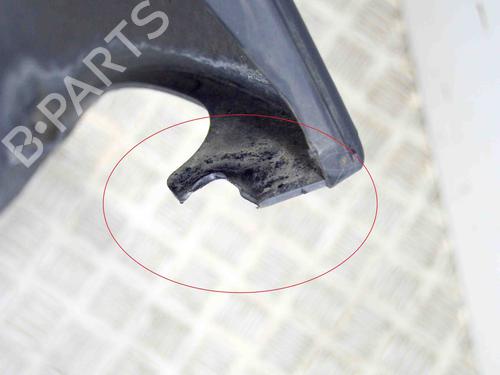 Front bumper OPEL MOVANO B Van (X62) 2.3 CDTI FWD (FV) | BP29812431C7 