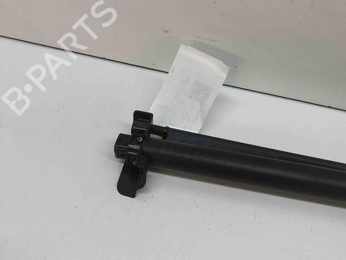 Rear parcel shelf RENAULT MEGANE CC (EZ0/1_) 1.6 dCi (EZ00) | BP29336761C85 