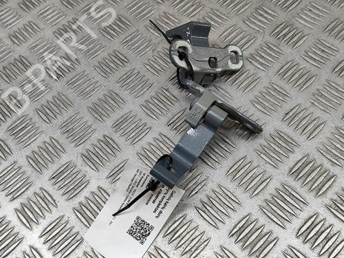 Hinge/Door check strap VOLVO XC60 II (246) T6 Plug-In Hybrid AWD | BP28433040C146 