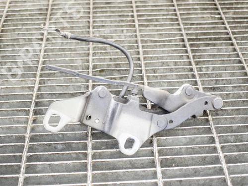 Hinge/Door check strap BMW 3 (E90) 318 i | BP14607581C146 