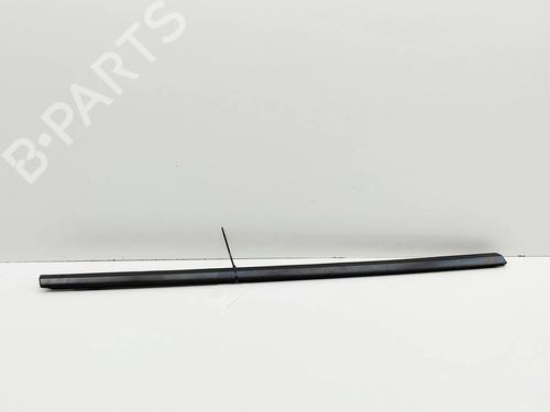 Dørliste TESLA MODEL 3 (5YJ3) EV | BP36327091C150 - Image 2