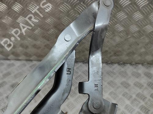 Hinge/Door check strap LAND ROVER DISCOVERY V (L462) 3.0 D 4x4 | BP16536894C146