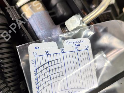 Engine BMW X5 (G05, F95) xDrive 30 d | BP28432372M1 