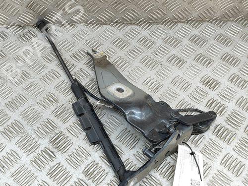 Hinge/Door check strap BMW X5 (E70) xDrive 40 d | BP19428018C146 
