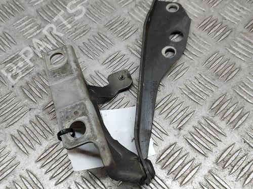 Hinge/Door check strap VOLVO S40 II (544) T5 | BP25218537C146