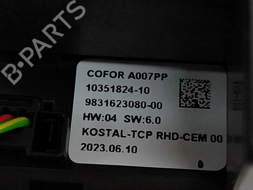 Display monitor CITROËN C4 III (BA_, BB_, BC_) 1.2 PureTech 130 (BAHNSA, BAHNSB) | BP28557861C48