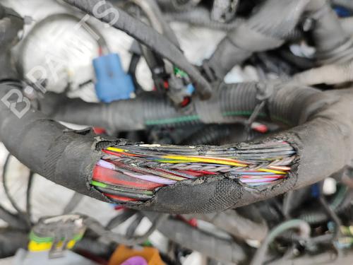 Wiring harness FERRARI CALIFORNIA 4.3 | BP32119087E16 