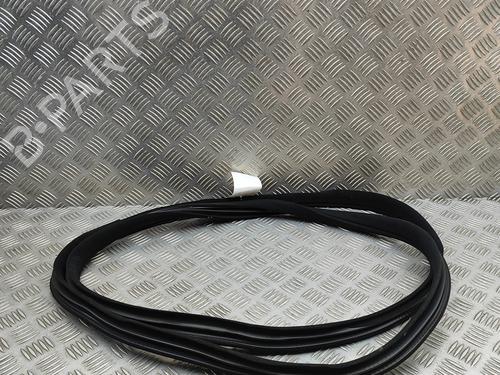 Used Rubber door seal MERCEDES-BENZ C-CLASS (W204) C 350 CDI (204.023) (265 hp) 29753102
