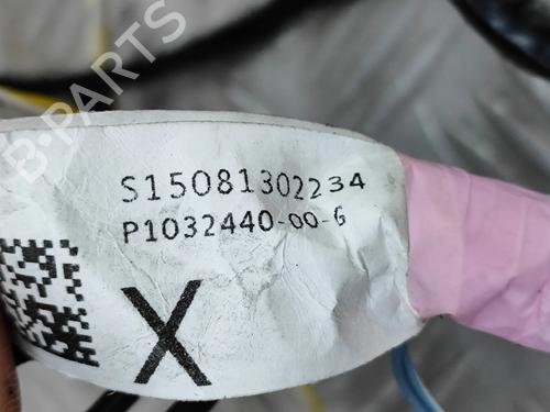 Wiring harness TESLA MODEL X (5YJX) P100D AWD | BP25787881E16