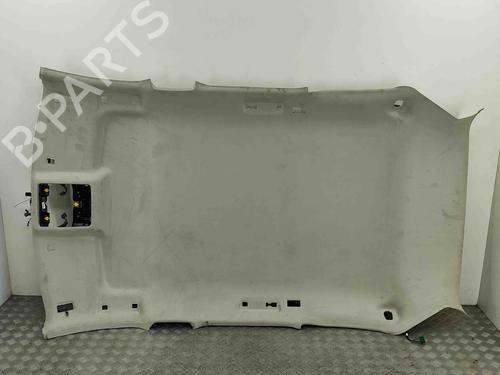 Interiør taket JAGUAR F-PACE (X761) 2.0 TD4 (163 hp) 29829705