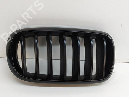 Gitter für BMW X5 (F15, F85) xDrive 40 d (313 hp) 19937015