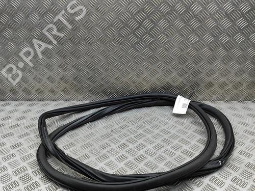 Gummiliste Gummiliste VW TIGUAN (CT1) 1.5 eTSI (131 hp) 35811484 35811484