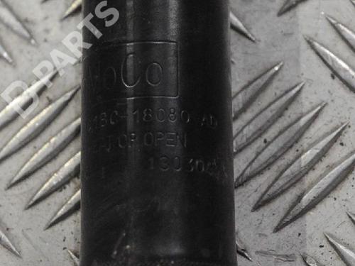 Right rear shock absorber FORD FIESTA VI (CB1, CCN) 1.4 | BP6715419M19 