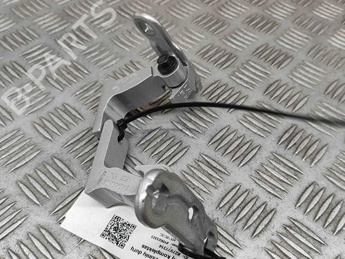 Hinge/Door check strap VOLVO XC90 II (256) T8 Hybrid AWD | BP28553445C146