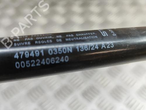 Tailgate lift support FIAT 500 (312_) 1.0 Mild Hybrid (312.AYD1B) | BP29373382C138