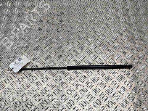 Used Hood lift support JAGUAR XJ (X351) 3.0 SCV6 (340 hp) 19501350