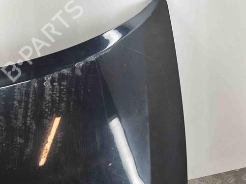 Hood LEXUS CT (ZWA10_) 200h (ZWA10_) | BP29637515C1 