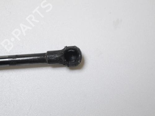 Tailgate lift support LEXUS GS (_L1_) 450h (GWL10_, GWL10, GWL10R) | BP30255783C138