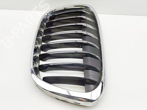 Grille BMW X1 (F48) sDrive 18 d | BP29730920C40 