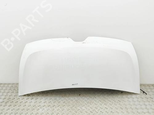 hood-renault-master-iii-bus-jv-2011-36863942 main image