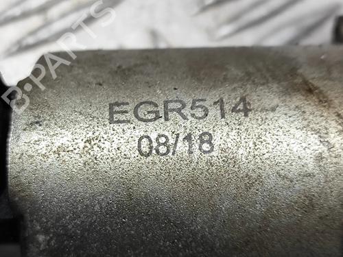 Egr AUDI A4 B7 Avant (8ED) 2.0 TFSI | BP22999436M69 