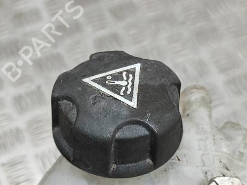 Expansion tank PEUGEOT 2008 II (UD_, US_, UY_, UJ_, UR_, UC_) e-2008 (UKZKXZ) | BP27786033C120