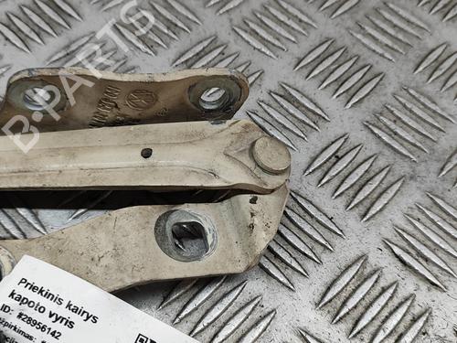 Hinge/Door check strap VW NEW BEETLE Convertible (1Y7) 1.6 | BP24307191C146 