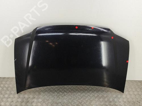 Used Hood Hood VW CADDY III Box Body/MPV (2KA, 2KH, 2CA, 2CH) 2.0 SDI (70 hp) 29730646 29730646