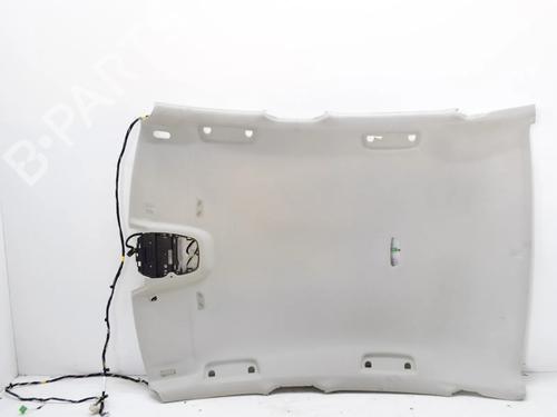 Used Interior roof Interior roof VOLVO S90 II (234) D5 AWD (235 hp) 14642199 14642199