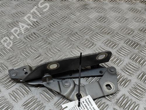 Hinge/Door check strap LAND ROVER RANGE ROVER EVOQUE (L538) 2.2 D 4x4 | BP26167981C146 