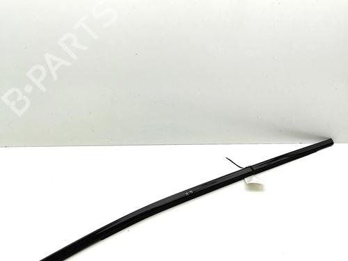 Dørliste NISSAN ARIYA (FE0) EV | BP36067476C150 - Image 2