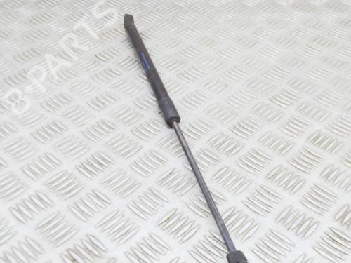 Hood lift support AUDI Q7 (4LB) 3.0 TDI quattro | BP15551494C139 